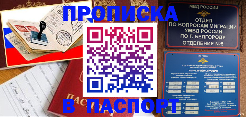 купить прописку в Торжоке